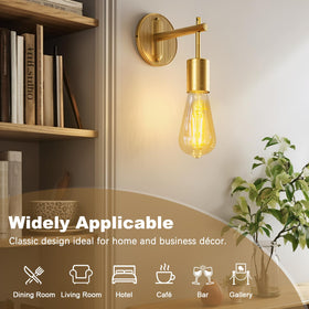 DiCUNO amber Edison bulb for indoor or outdoor fixtures with protective glass