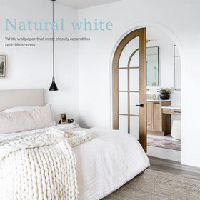 Dimoon eco-friendly design supports renters and dorm rooms with quick updates.