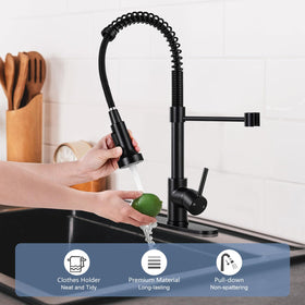 DJS dual spray head switches between aerated and powerful spray.