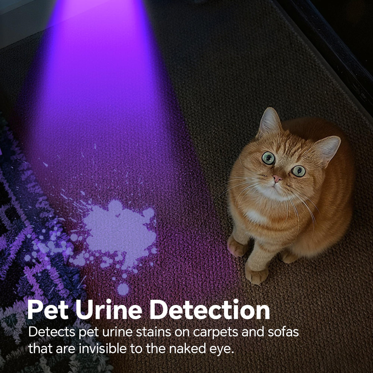 Dokhbem 365nm UV flashlight supports resin curing with precise UV exposure.