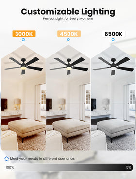 Dolavast black ceiling fan suits bedrooms and living rooms.