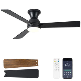 Dolavast ceiling fan with light in black and remote control for easy operation.