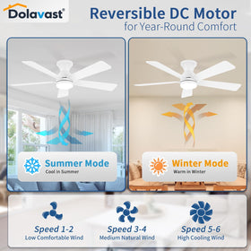 Dolavast timers provide energy-saving operation and schedule control.