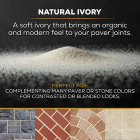 DOMINATOR natural ivory 10 lb bag with easy pour handle for precise application.