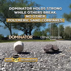 DOMINATOR midnight black color enhances paver surfaces with lasting contrast