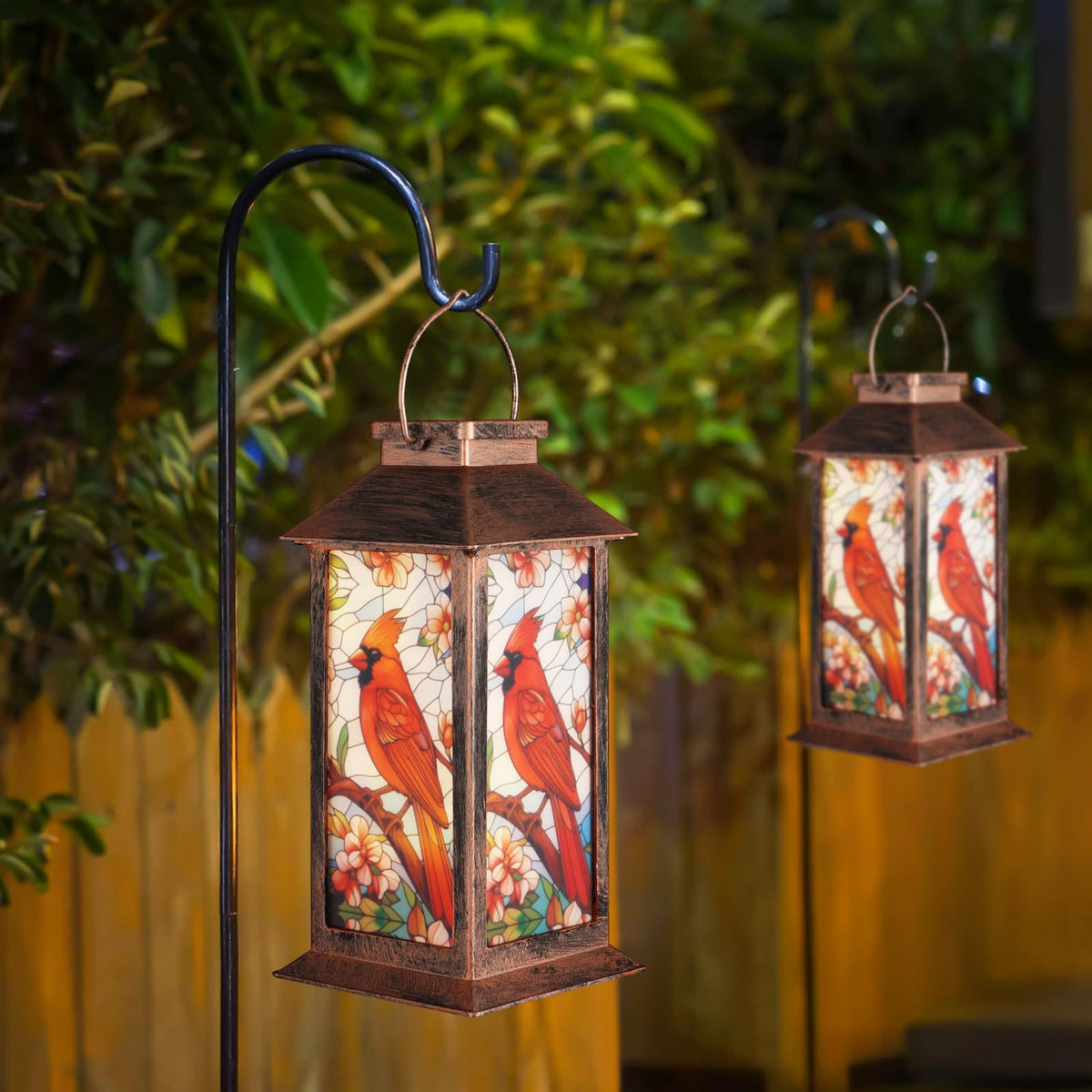 Doogarden cardinal lantern glows at night with warm light