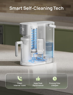 DREO tank and pitcher setup ready for daily use by 1–2 people