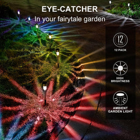 Dream Master multicolor landscape lights for driveway create vibrant exterior accents
