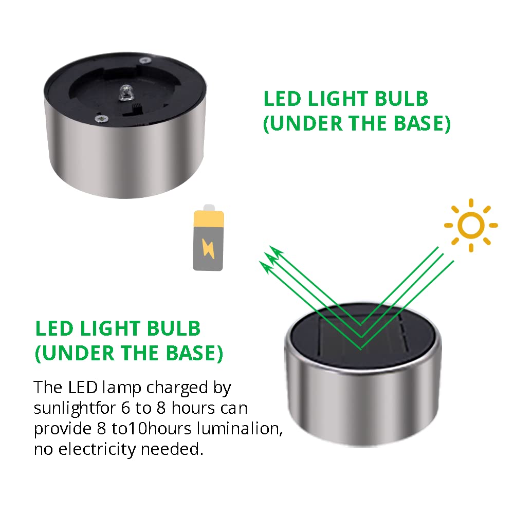 Dream Master yard spotlight delivers focused landscape accent lighting.