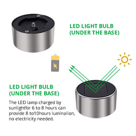 Dream Master yard spotlight delivers focused landscape accent lighting.