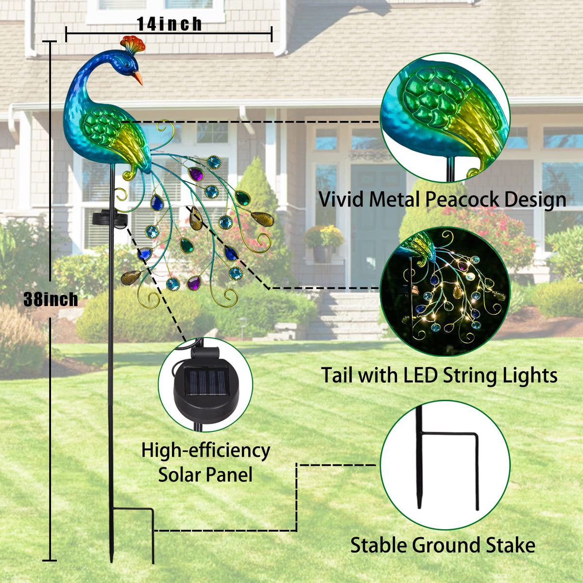 Dreamsoul peacock garden light assembly step three secure stake