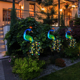 Dreamsoul solar peacock light night glow lights up walkways