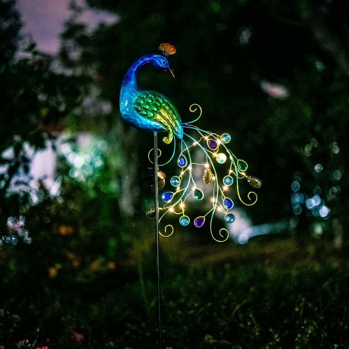 Dreamsoul waterproof peacock light IP65 withstands rain