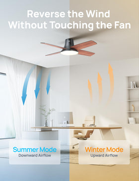 DREO 6-speed ceiling fan delivering adjustable, quiet airflow