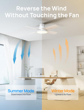 DREO 5 CCT lighting covers warm to cool tones for any mood.