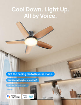 DREO quiet 6040 CFM airflow with minimal noise.