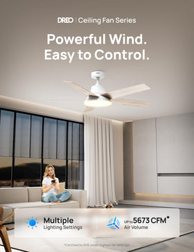 The DREO remote control lets you adjust speed and lighting from your sofa.