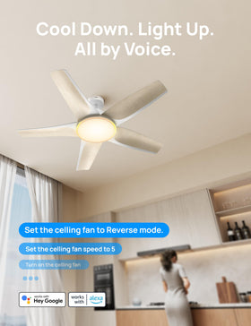 DREO Alexa-compatible control demonstrated with voice-powered fan operation.