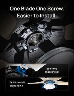 DREO RGB cycle mode illustrating dynamic color transitions.