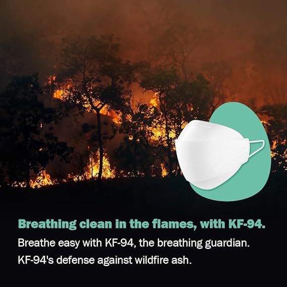 Dr.Puri KF94 black mask comfortable for long wear during wildfire season