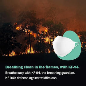 Dr.Puri KF94 black mask comfortable for long wear during wildfire season