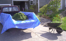 Dry Top blue tarp offers lightweight, versatile coverage for temporary shelters.