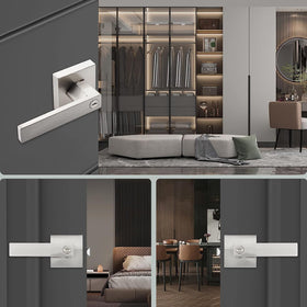 DSJJBLL door lever with lock and key for front and interior doors