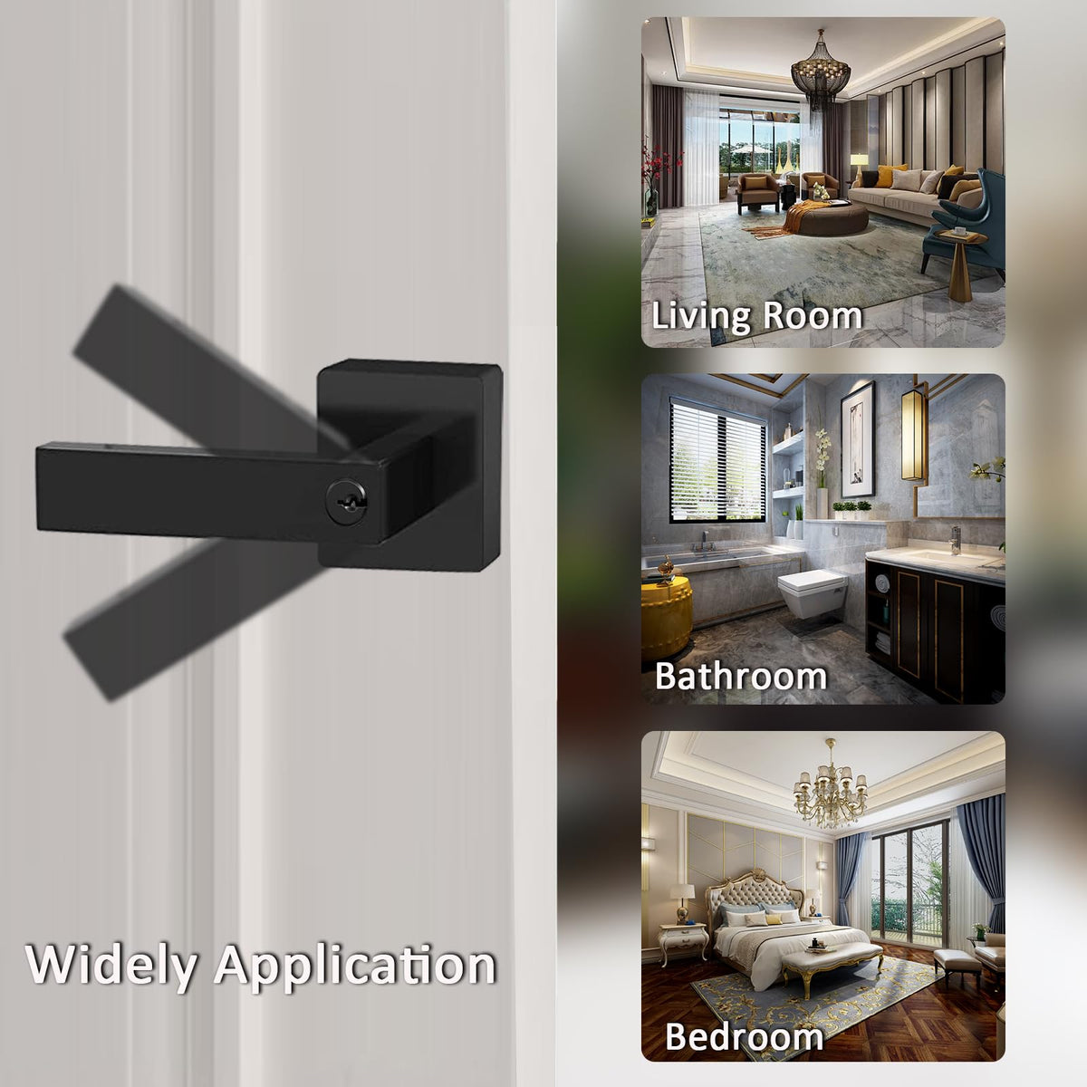 DSJJBLL keyed entry lever demonstrates one-key convenience for family doors.
