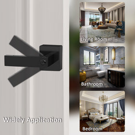 DSJJBLL keyed entry lever demonstrates one-key convenience for family doors.
