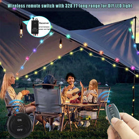 dstfuy portable remote control for flexible light management.