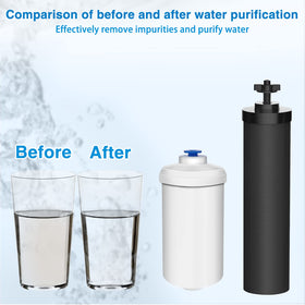 DTESL high-efficiency filtration reduces chlorine, odors, and sediment