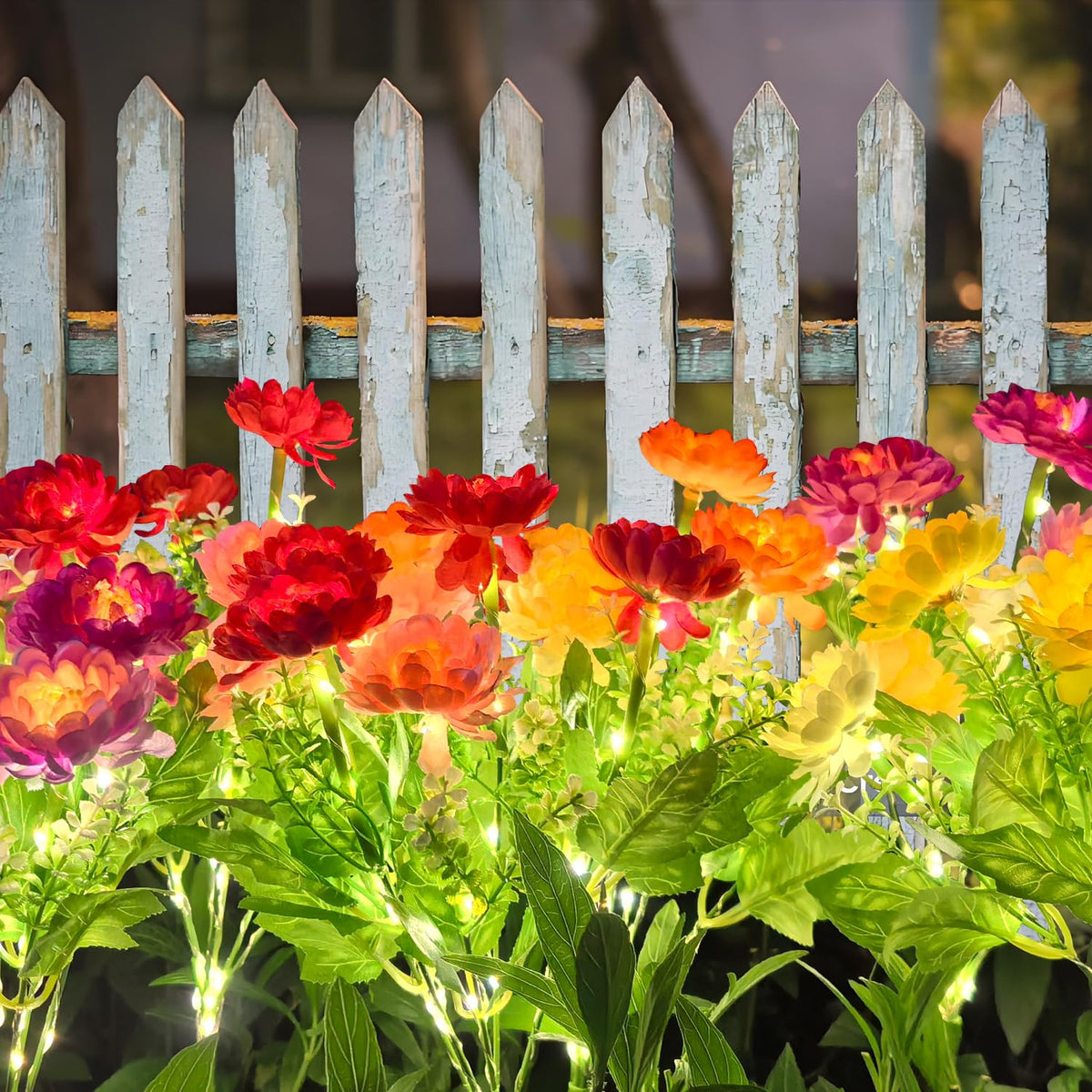 DUODEAN blooms line garden paths, adding romantic illumination and color.