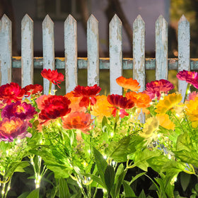 DUODEAN blooms line garden paths, adding romantic illumination and color.