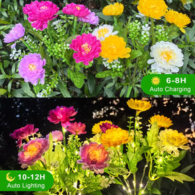 DUODEAN Solar Flowers Lights bloom close-up shows silky petals and color variety.