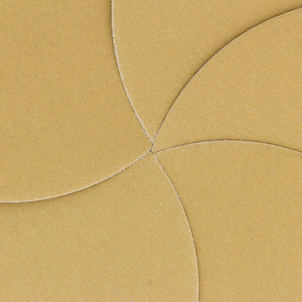 Dura-Gold 6 inch 220 grit disc enabling dustless sanding on compatible 6-hole plates
