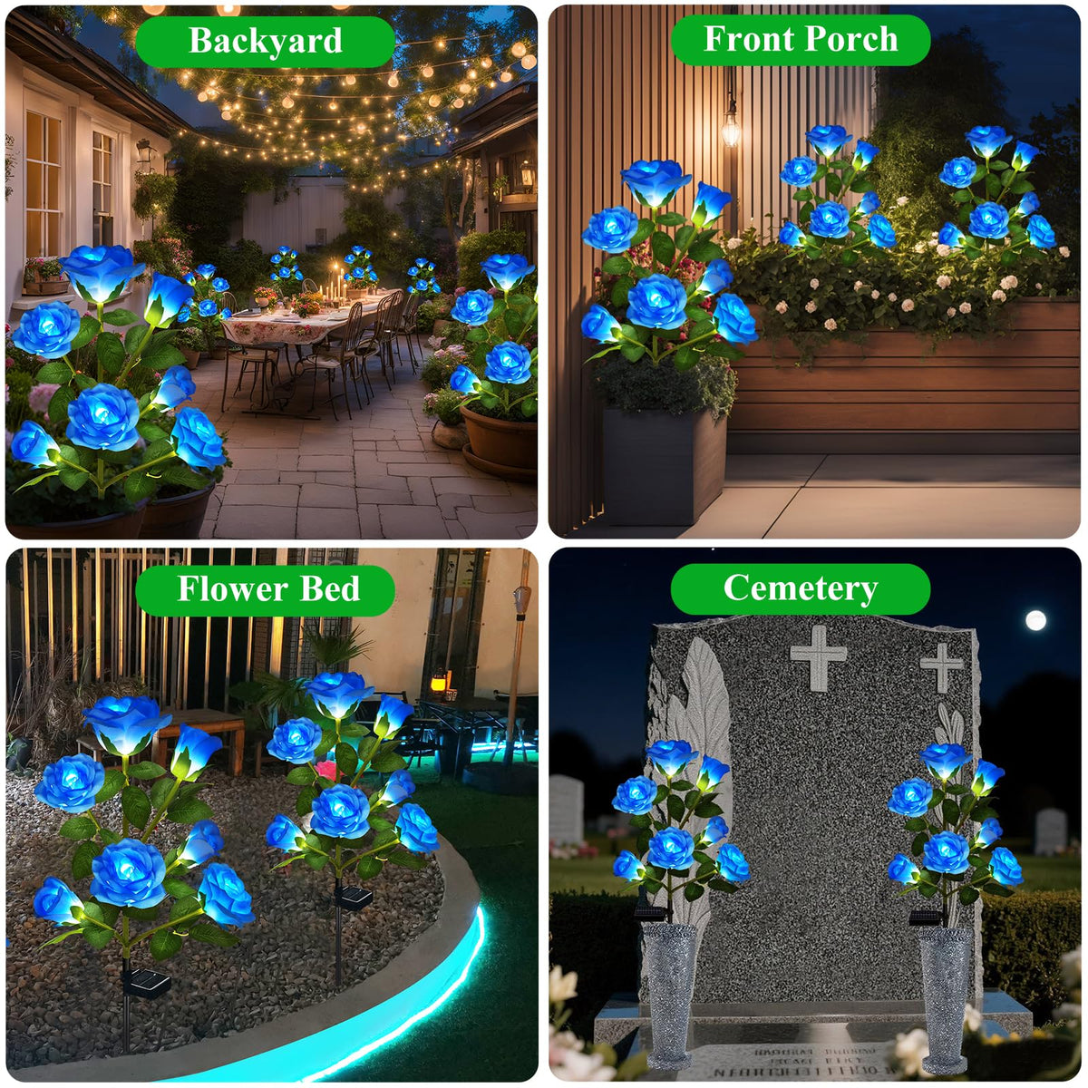 DWH blue rose LED lights illuminate walkways with decorative color.