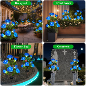 DWH blue rose LED lights illuminate walkways with decorative color.
