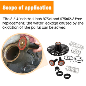 Diaphragm and plunger of E-cowlboy kit ready for leak-free performance