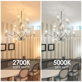E Energetic Lighting candelabra LED installed in a wall sconce highlighting energy efficiency