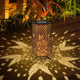 Eandisom garden path illuminated by hummingbird lanterns at dusk