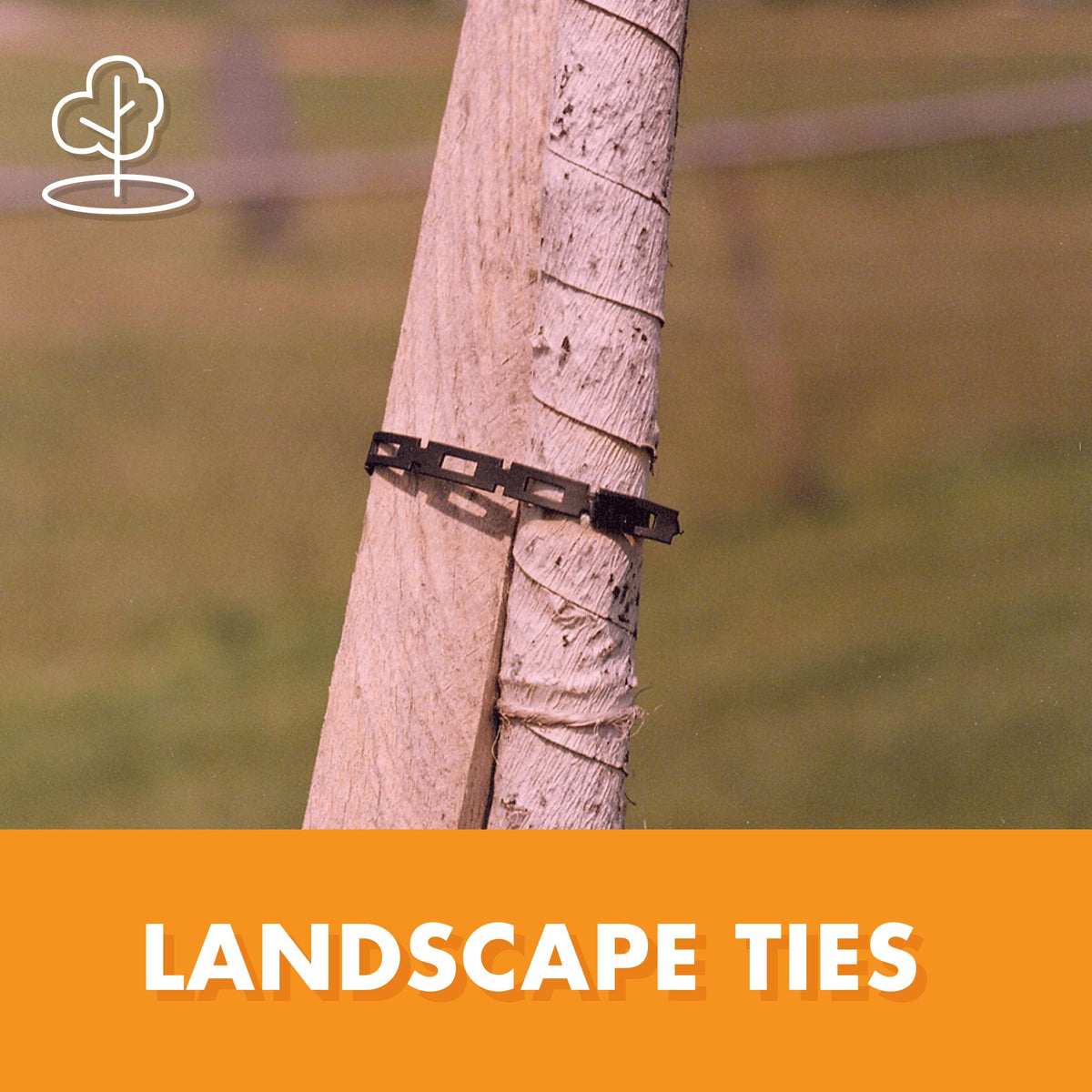 EasyFlex FirmFlex plant ties fastening vines to trellises with reliable hold