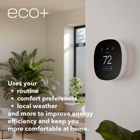 ecobee Smart Thermostat Essential cozy living space demonstrating comfort with efficiency.