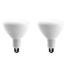 EcoSmart BR40 LED bulb highlights energy savings and long life