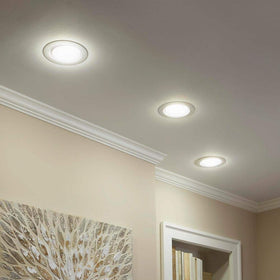 EcoSmart BR40 packaging showing two bulbs for easy replacement