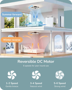 EDISHINE 6-speed fan delivers quiet operation and flexible breeze.
