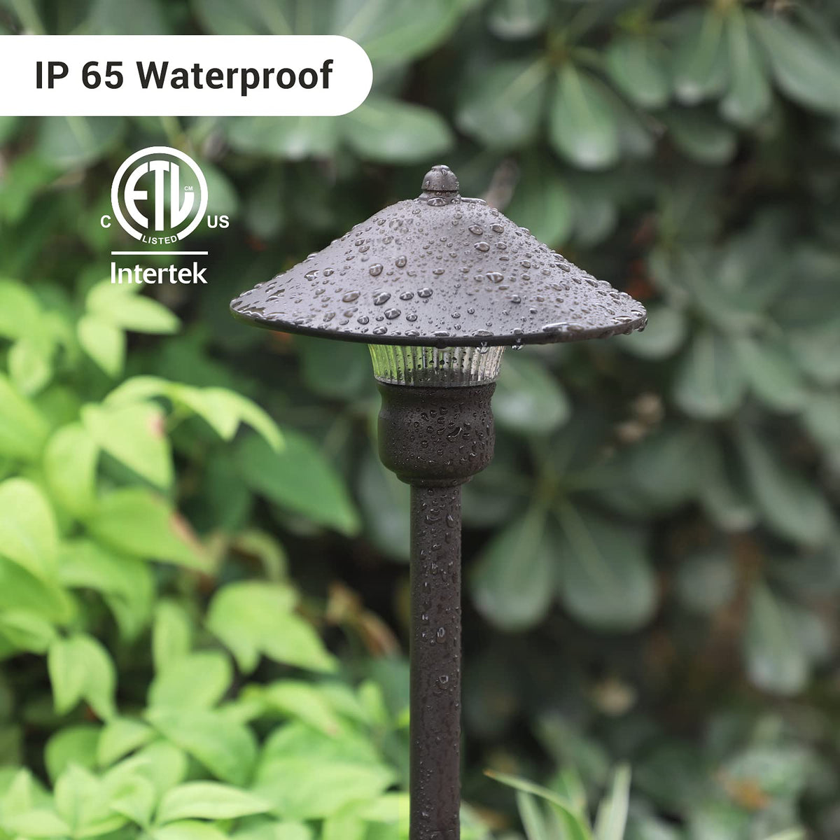 EDISHINE die-casting aluminum light with glass lens for durable outdoor use