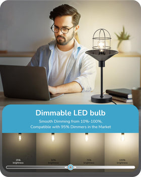 EDISHINE dimmable antique bulb enhances rooms with adjustable brightness