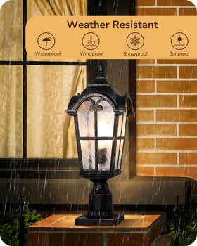 EDISHINE matte black finish with gold edges adds vintage charm.