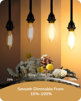 Dimmable EDISHINE E12 bulb casting 10–100 percent brightness without buzzing