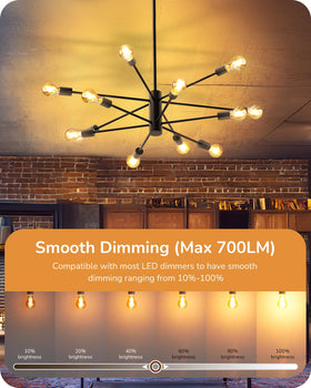 EDISHINE Vintage LED Edison bulb 2200K amber warmth highlights colors.